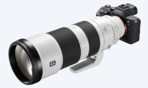 The Sony AR74 and the Sony 200-600 f5.6-6.3 lens,  a non-functional combination for birds in flight?