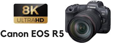 Did YouTube damage the camera industry?