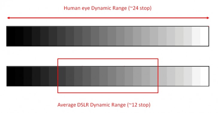 Sony vs OM dynamic range wildlife zooms — schematic illustrating how sensor DR and lens speed interact to determine real-world image quality