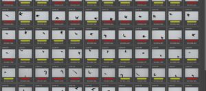 New Lightroom workflow for improved high frame rate bird photography