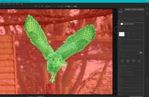 Getting the best from On1 Photo Raw and Lightroom Classic