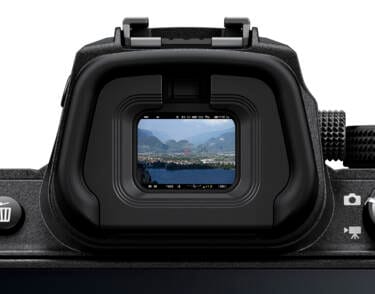 EVF resolution - the missing metric mcaughtry.photo STAGING Electronic viewfinder display showing sensor output — EVF resolution vs sensor resolution